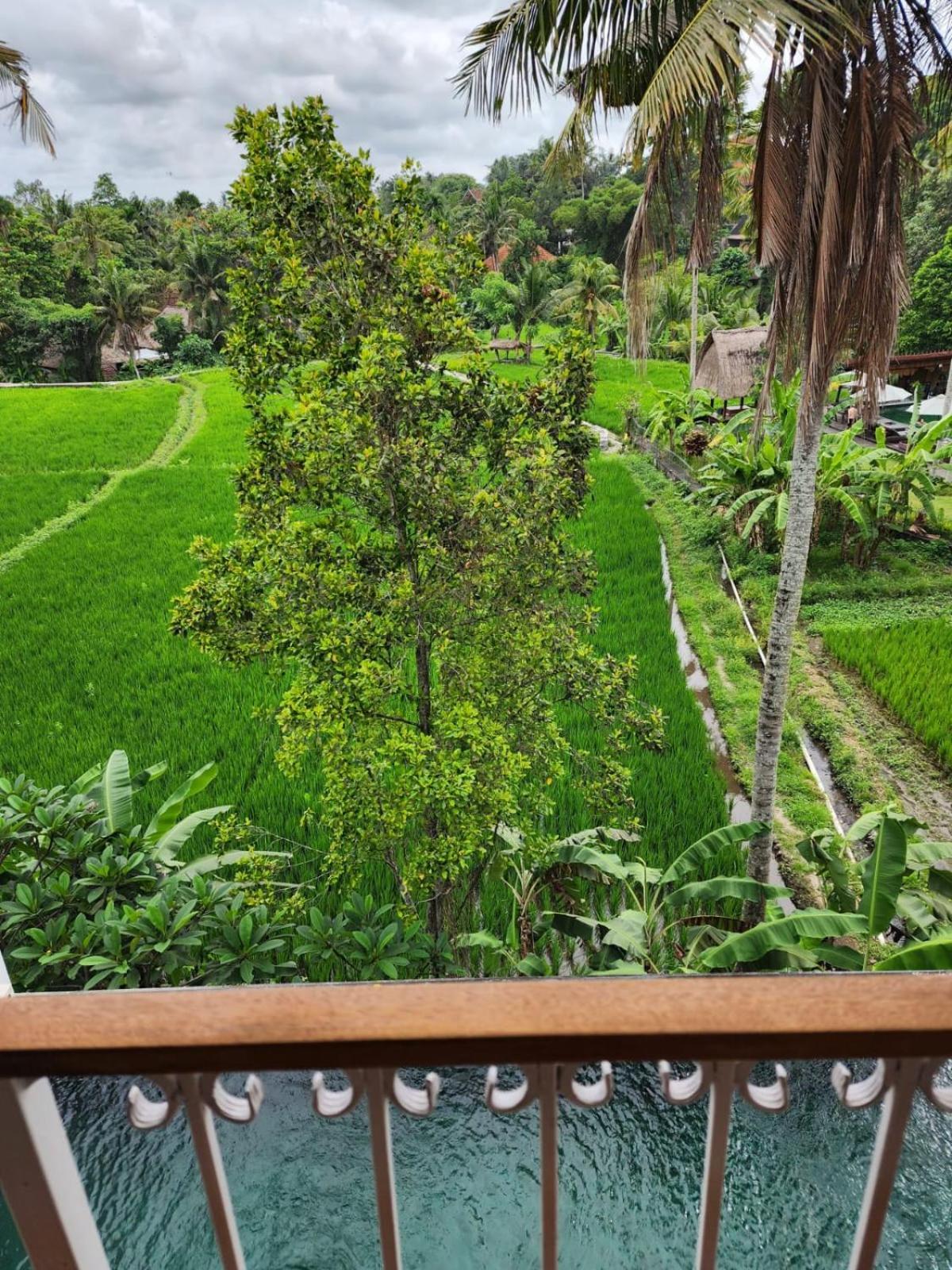 Motama Villa Ubud Eksteriør bilde