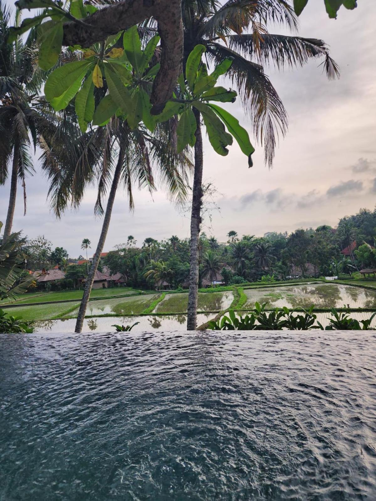 Motama Villa Ubud Eksteriør bilde