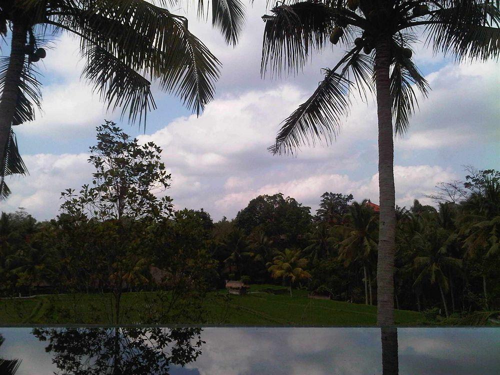 Motama Villa Ubud Eksteriør bilde