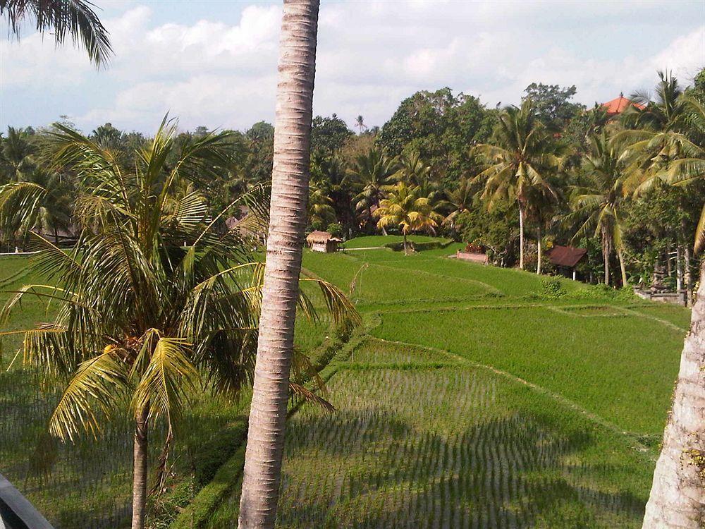 Motama Villa Ubud Eksteriør bilde